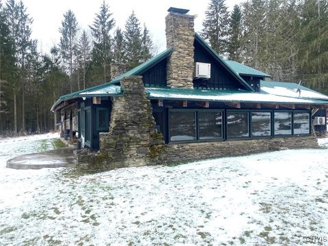 Photo of 4607 Waugh Brook Road, Ward, NY 14880 (MLS # S1659906)