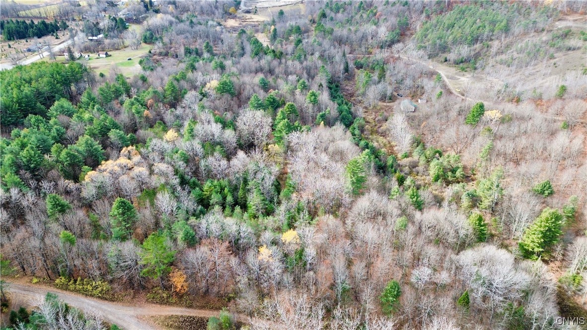 Lot 3 & 4 Goldmine Tract