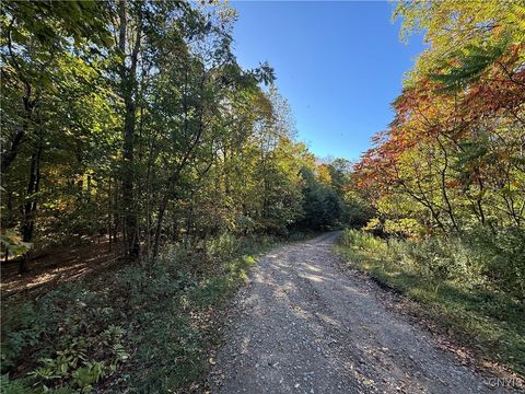 Vacant Land For Sale - Steelhead Lane<br/> Williamstown, NY 13493