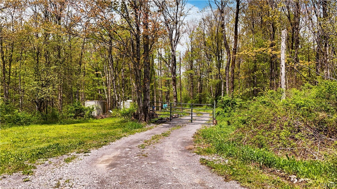 Smith Hill Road