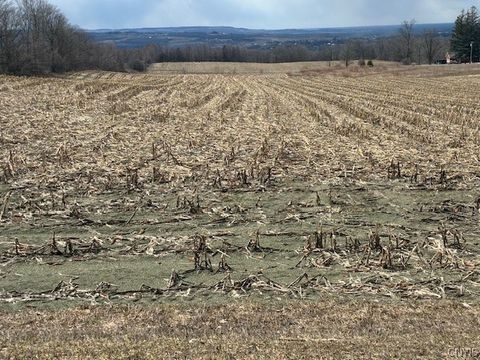 Skyline Drive Kirkland NY 13323