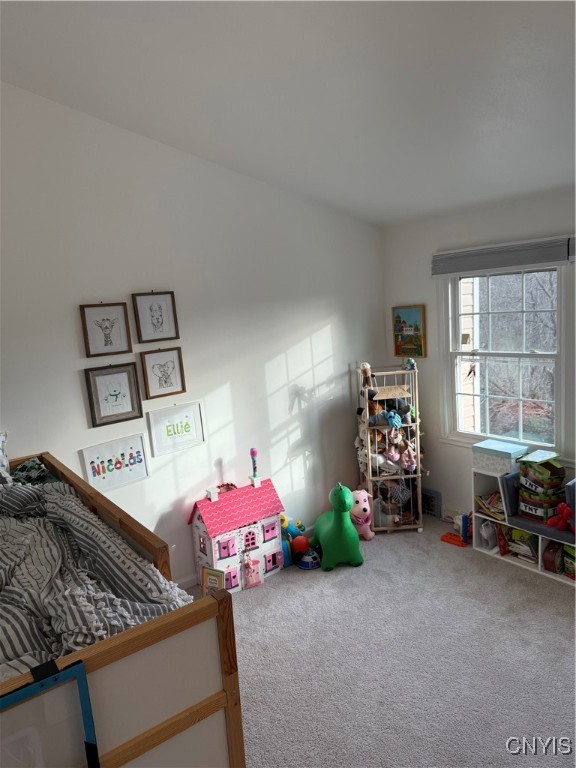 8146 Verbeck Drive Dr, Manlius, New York image 22