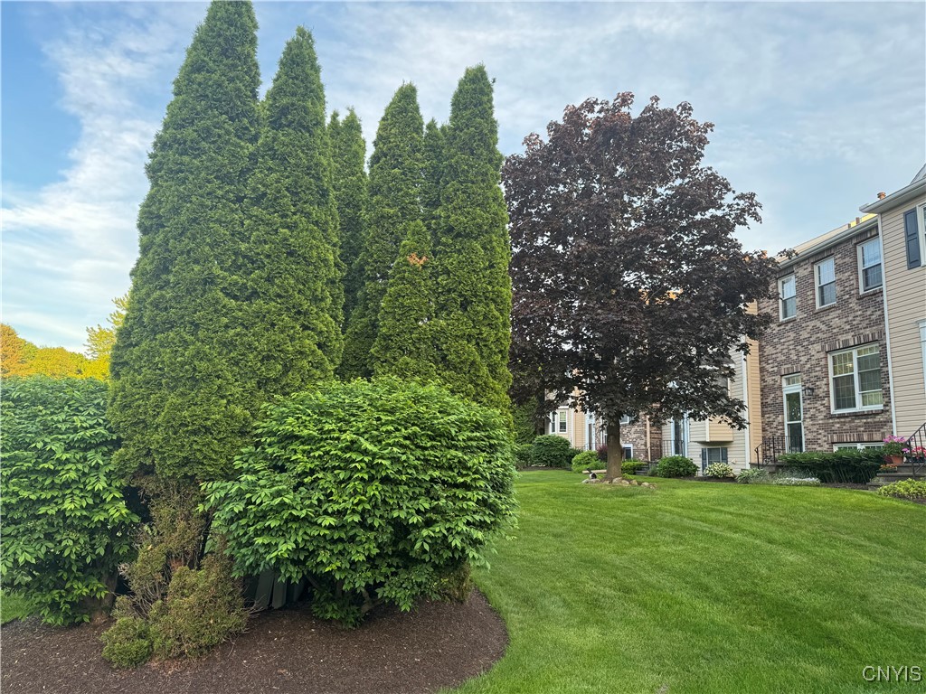 8146 Verbeck Drive Dr, Manlius, New York image 3