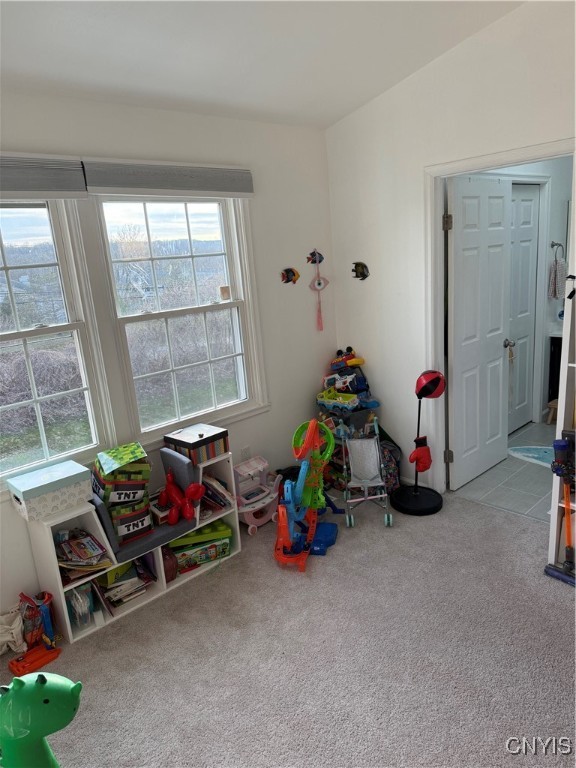 8146 Verbeck Drive Dr, Manlius, New York image 21