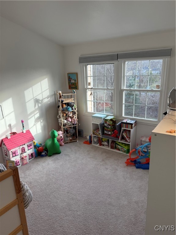 8146 Verbeck Drive Dr, Manlius, New York image 25