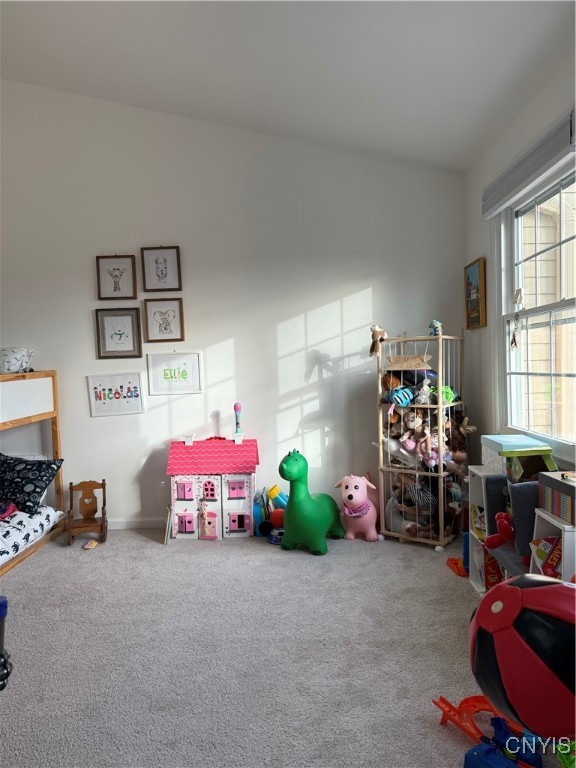 8146 Verbeck Drive Dr, Manlius, New York image 23