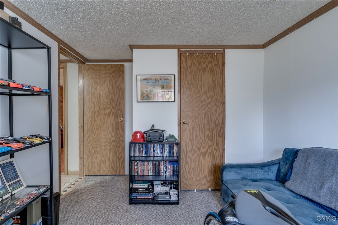 273 Wiley Boulevard, Cape Vincent, New York image 34