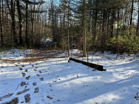 Photo for 329 NYS Route 49