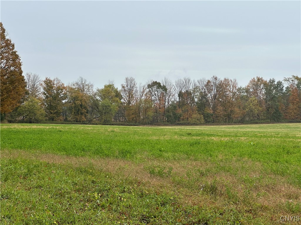 Stokes Lee Center Road