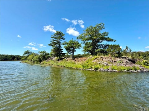 Homes For Sale - Snake Island<br/> Morristown, NY 13664