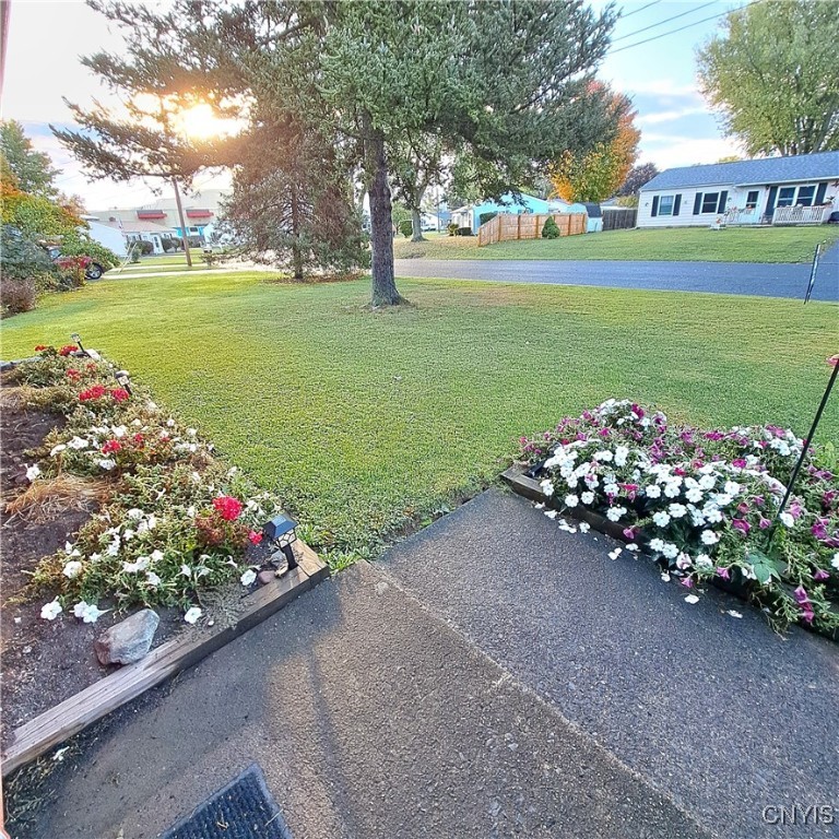 208 Maple Drive