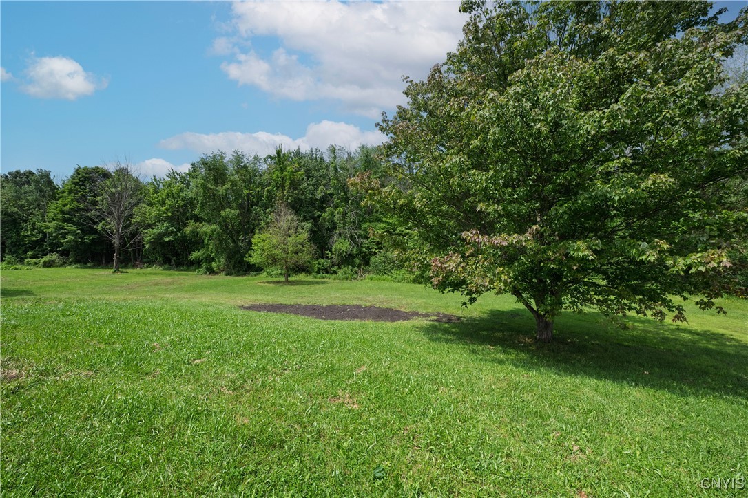 25 Ditzer Drive