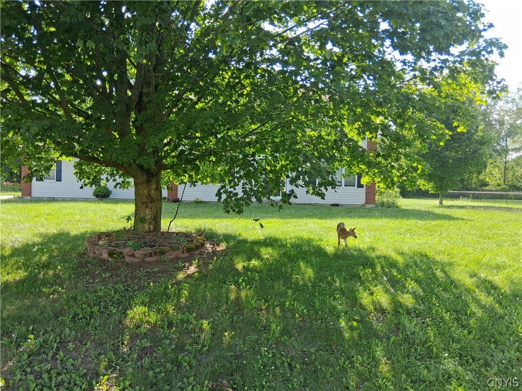 3727 Westvale Drive