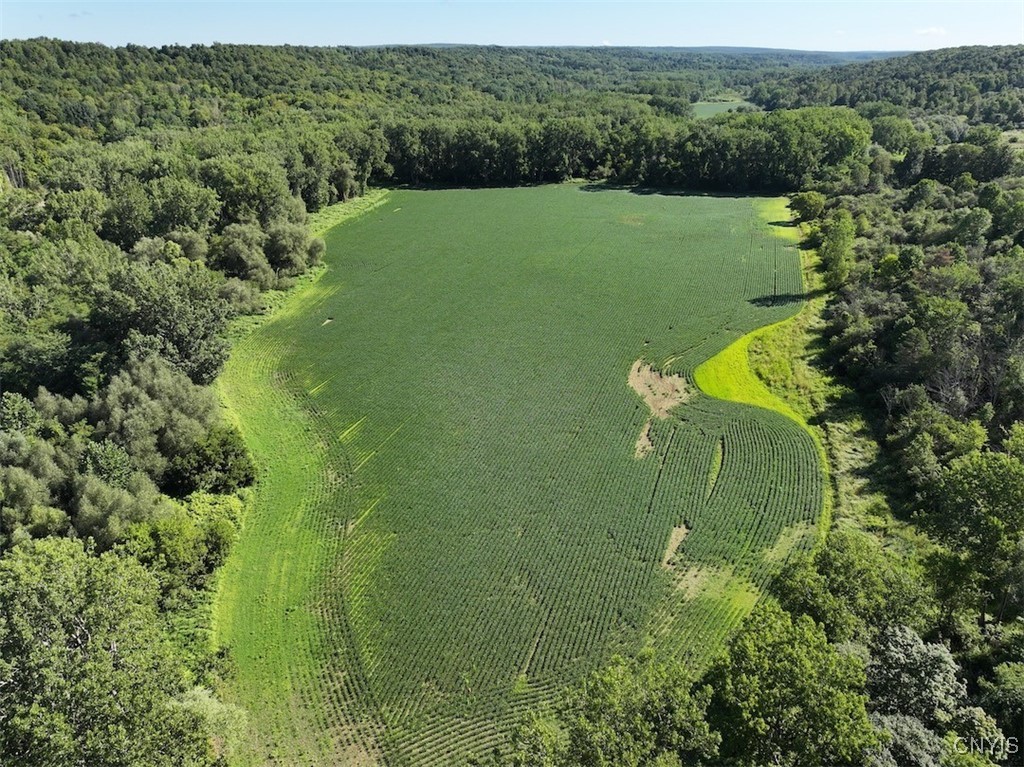 6610 Thomas Corners Road