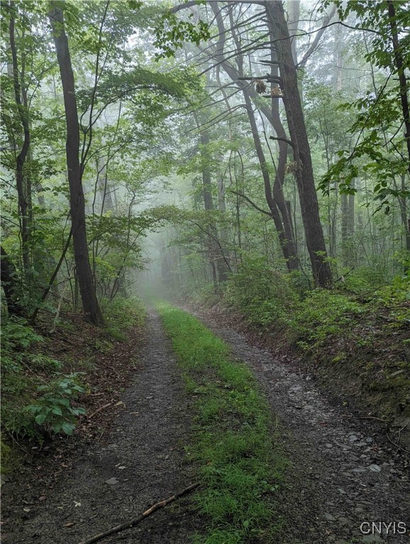 8051 Kane Road, Pulteney, New York image 34