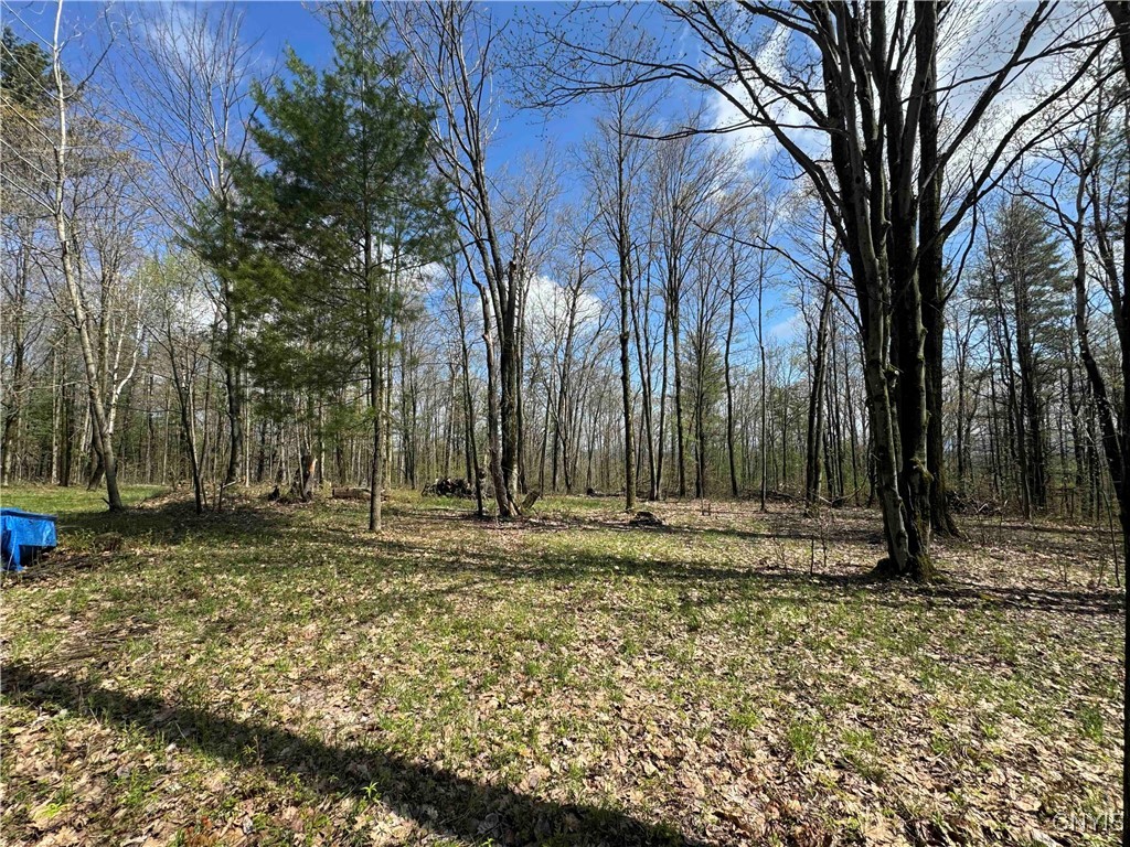 8051 Kane Road, Pulteney, New York image 23