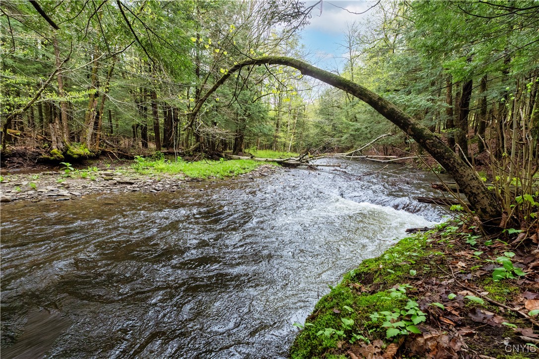 138 Wart Road, Orwell, New York image 42