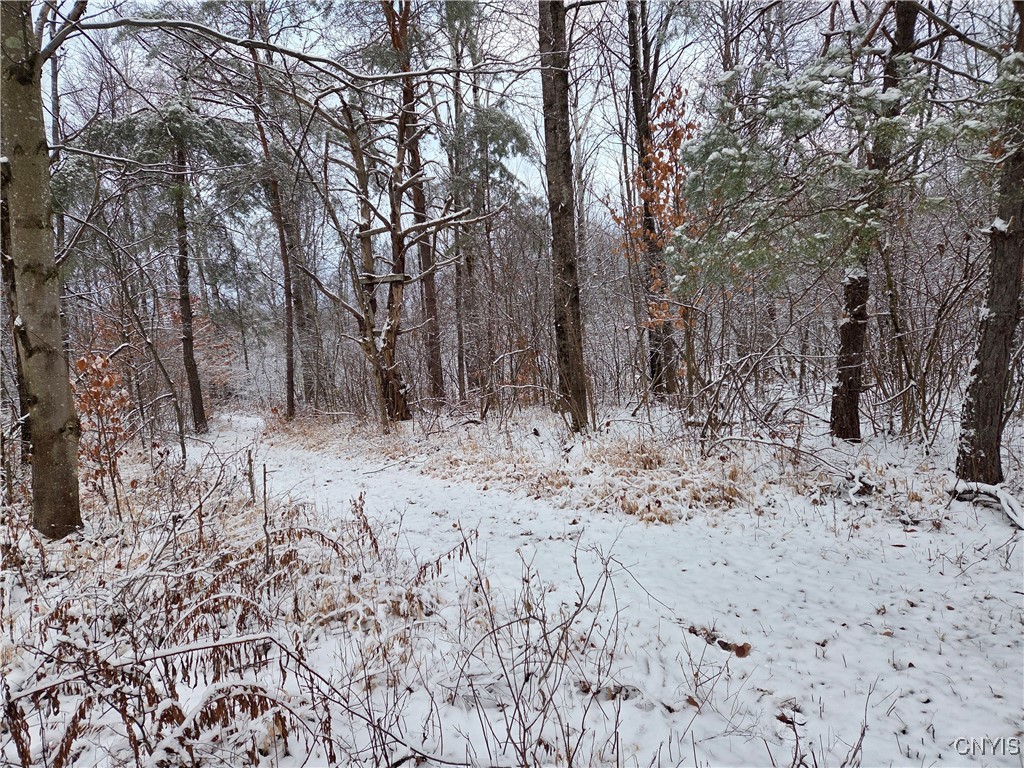 Wilna, New York 13619, United States, ,Land,Active,242470