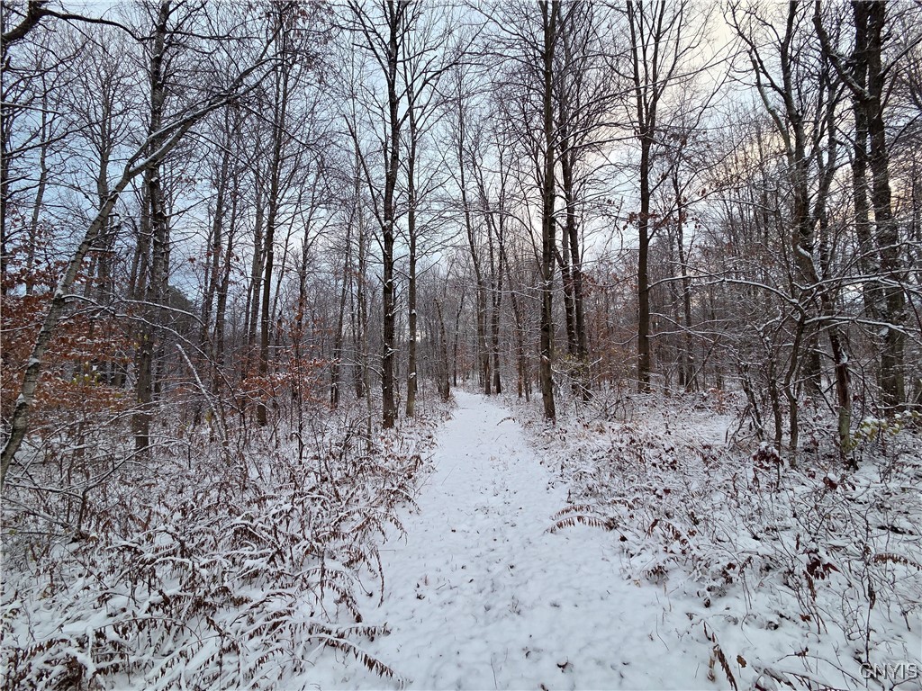 Wilna, New York 13619, United States, ,Land,Active,242470