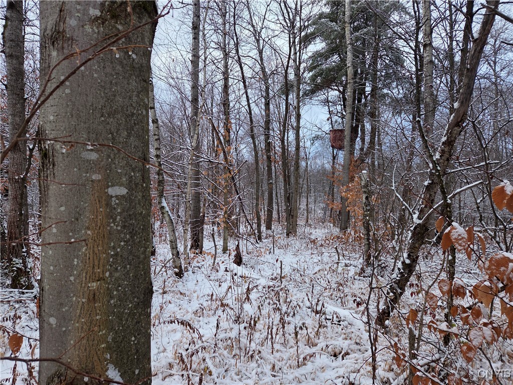 Wilna, New York 13619, United States, ,Land,Active,242470