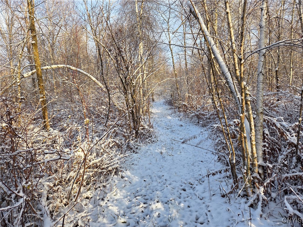 Wilna, New York 13619, United States, ,Land,Active,242470