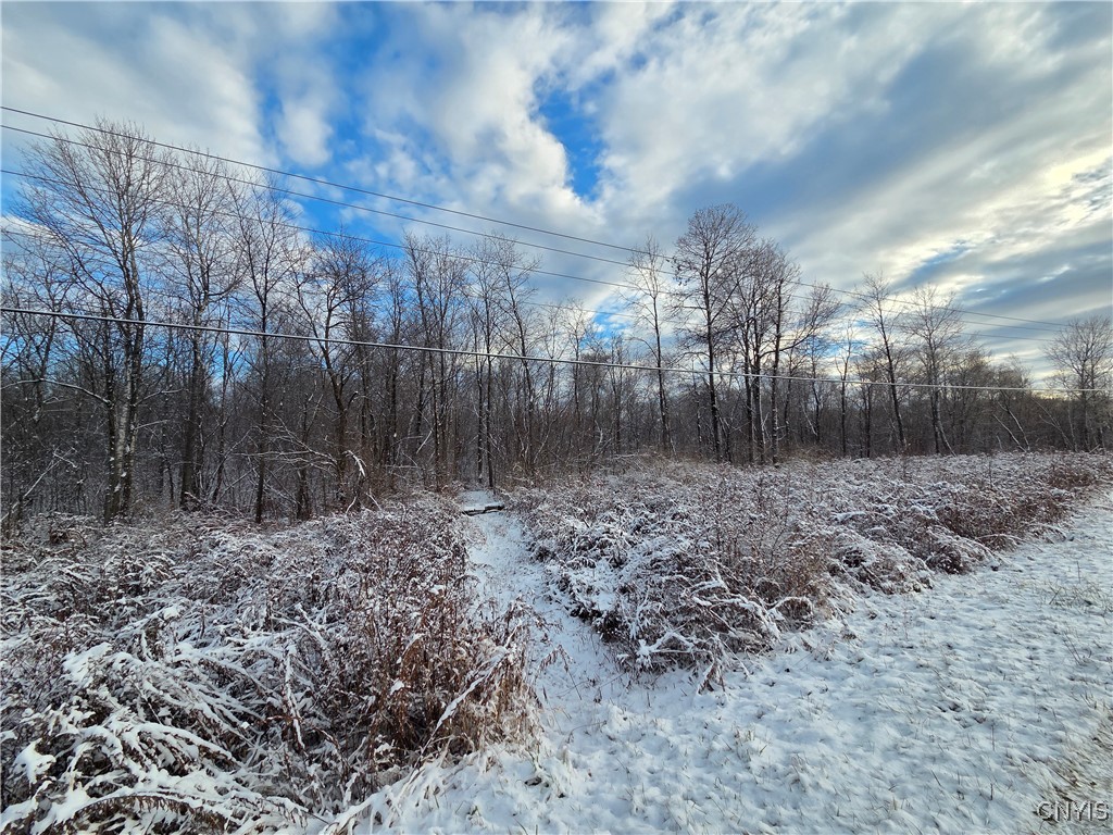Wilna, New York 13619, United States, ,Land,Active,242470