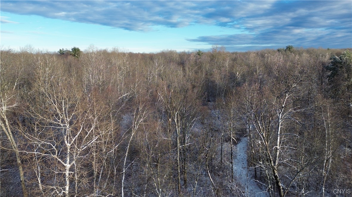 Wilna, New York 13619, United States, ,Land,Active,242470