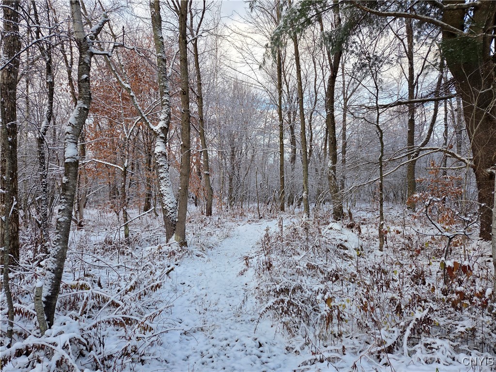 Wilna, New York 13619, United States, ,Land,Active,242470