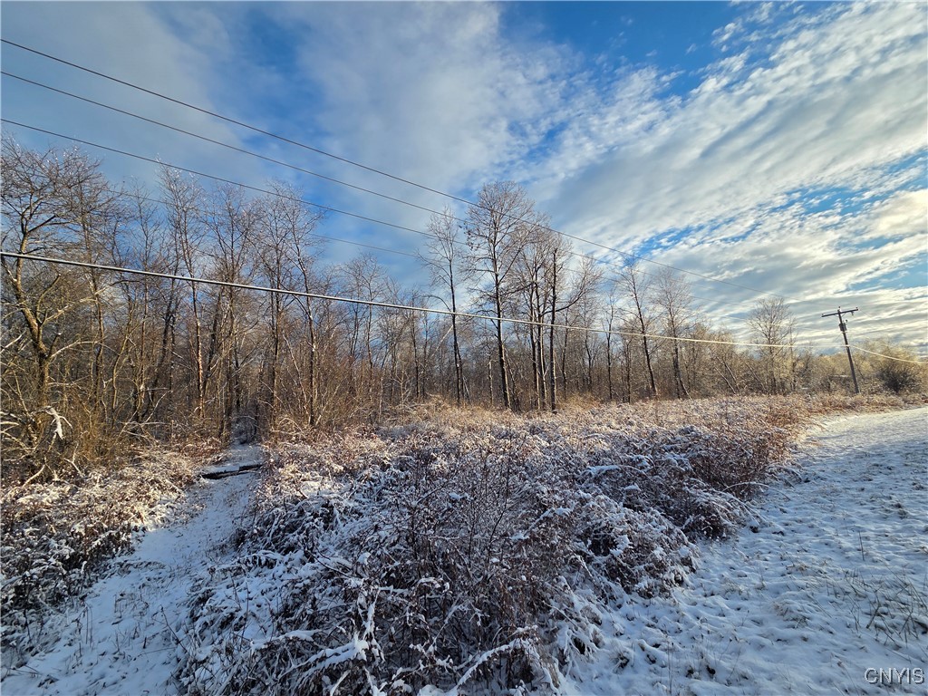 Wilna, New York 13619, United States, ,Land,Active,242470