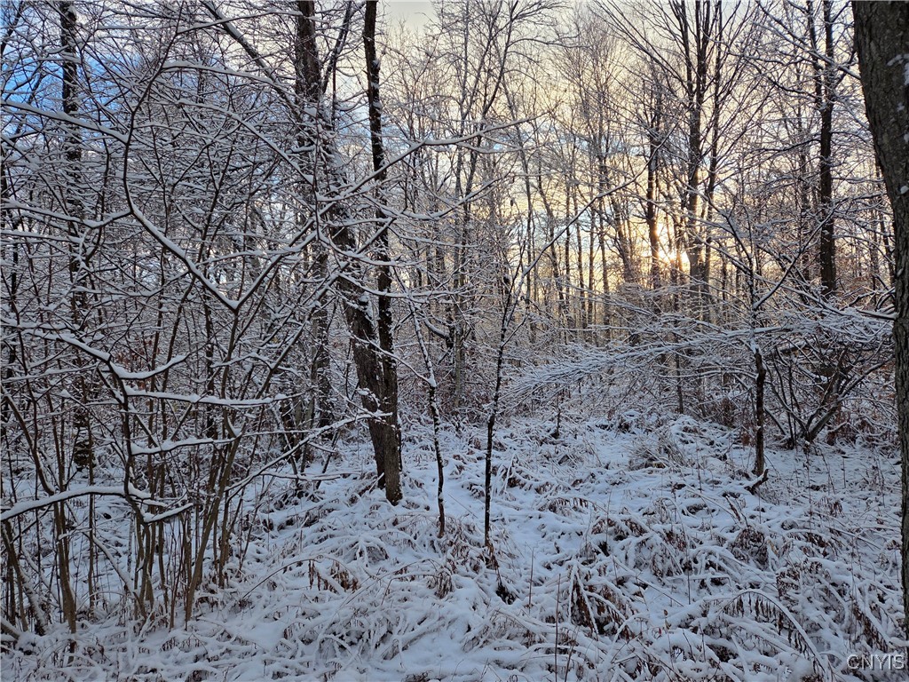 Wilna, New York 13619, United States, ,Land,Active,242470