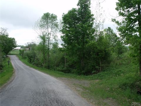 Vacant Land For Sale - Polly Miller Road<br/> Columbiaville, NY 13407