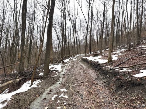 Vacant Land For Sale - Route 16<br/> Ischua, NY 14743