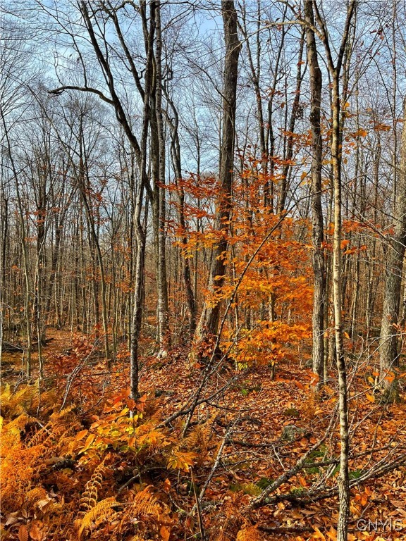 16.2 Acres Aquaduct Road, Stratford, New York image 8