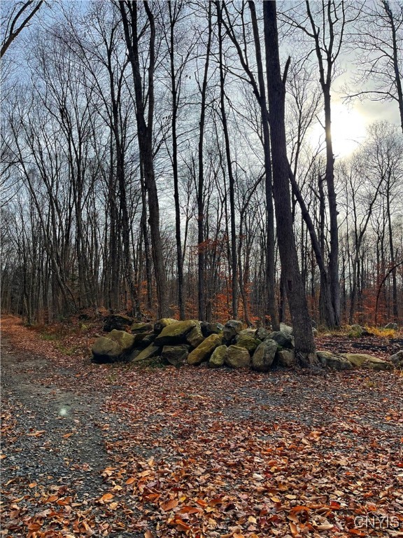 16.2 Acres Aquaduct Road, Stratford, New York image 11