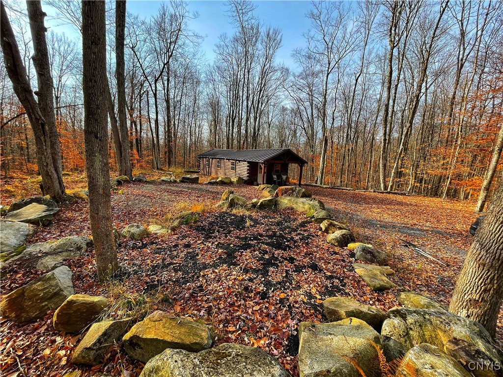 16.2 Acres Aquaduct Road, Stratford, New York image 4