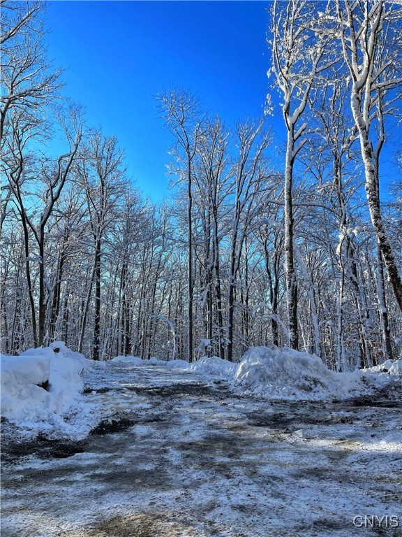 16.2 Acres Aquaduct Road, Stratford, New York image 14