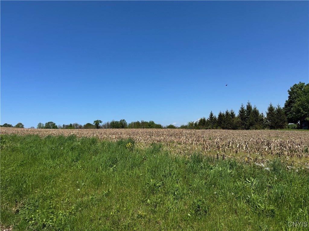 Irwin Road, Sterling, New York image 3
