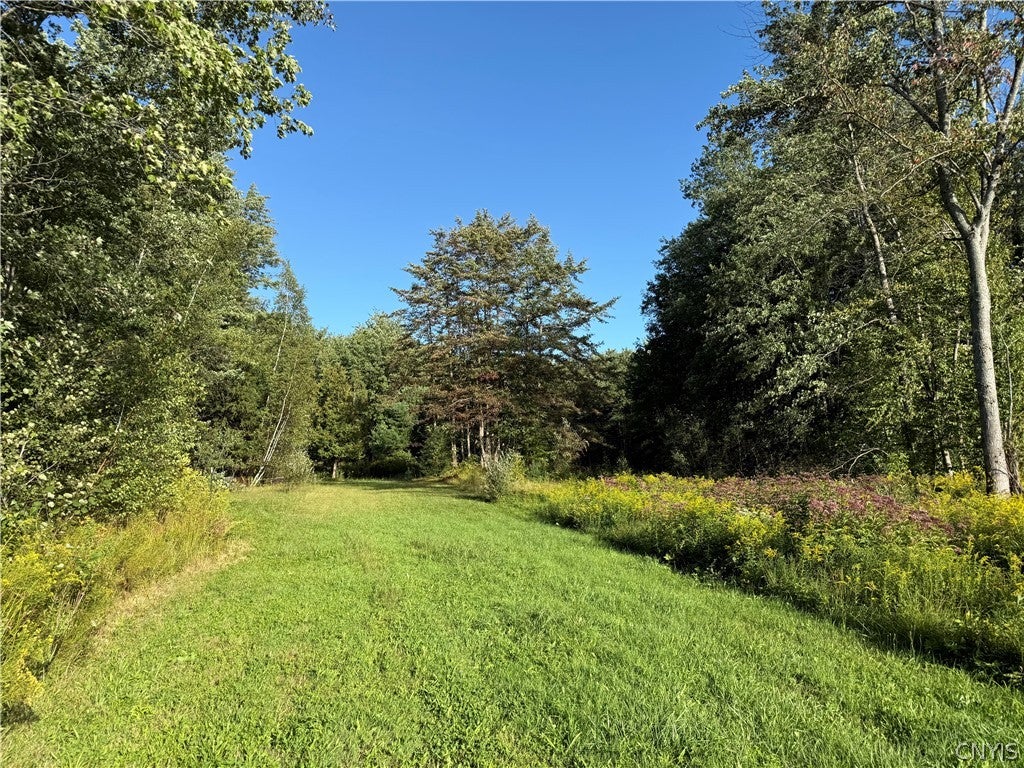 Photo of 216 Cape Horn Road, Palermo, NY 13069 (MLS # S1714289)