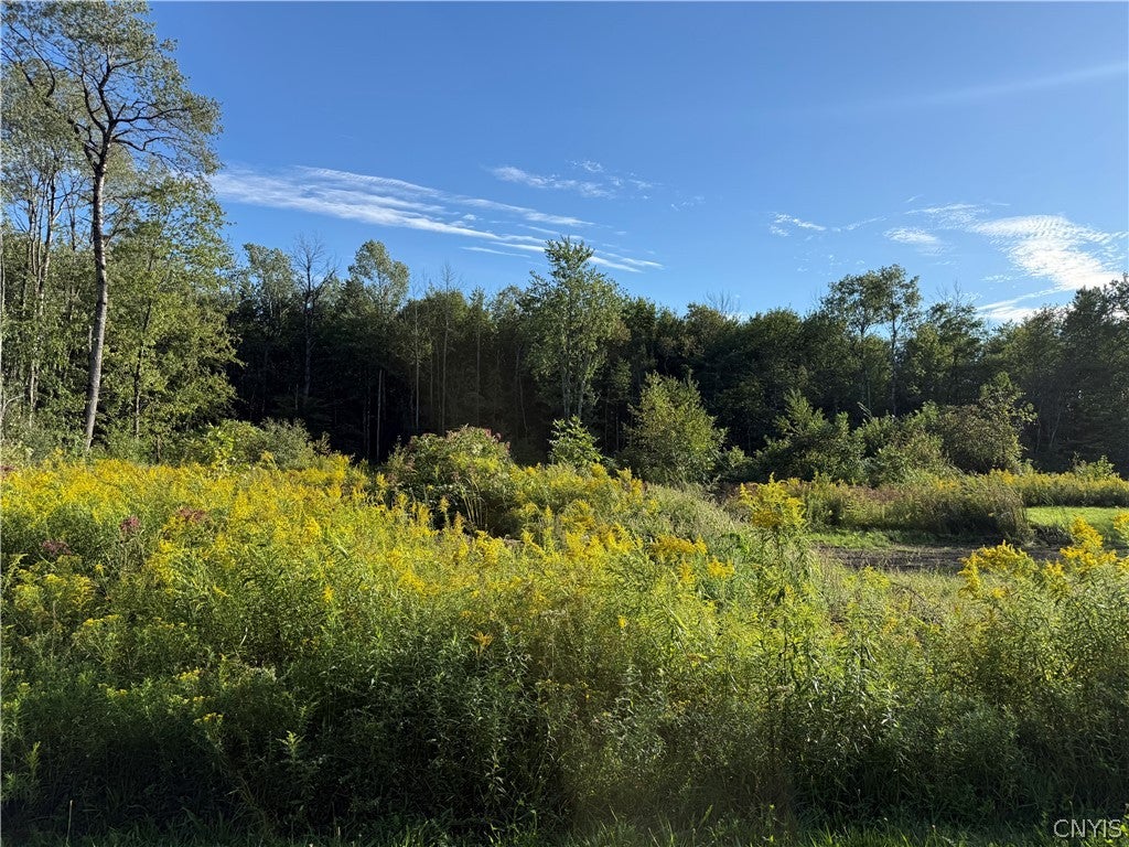 216 Cape Horn Road