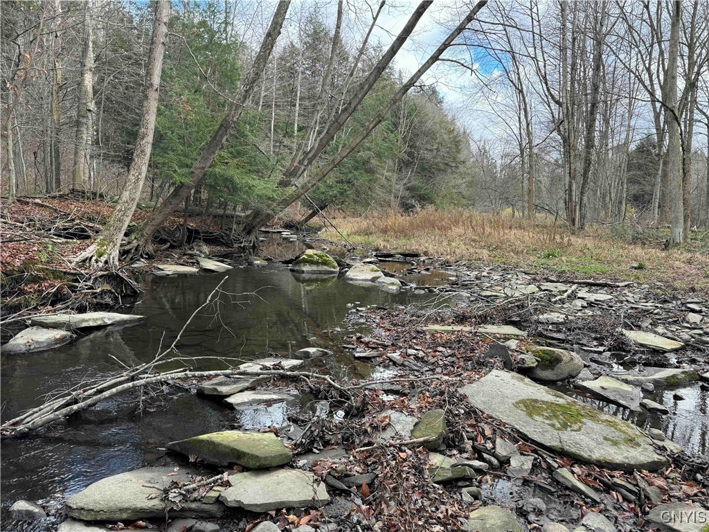 Post Road, Ripley, New York image 9