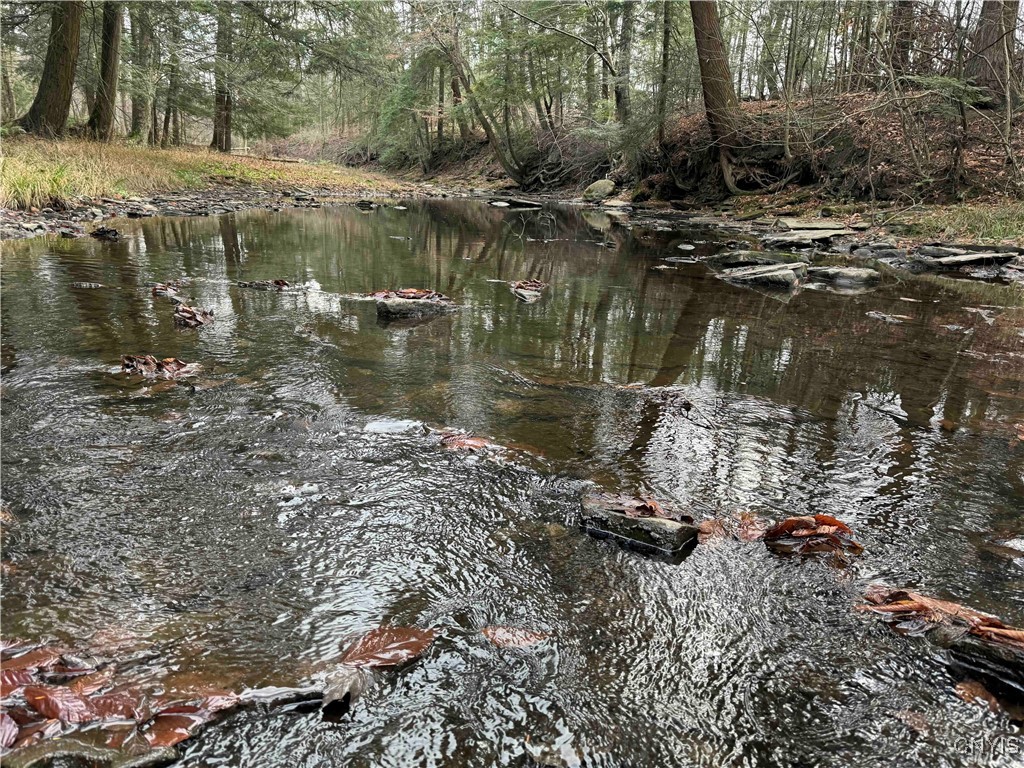 Post Road, Ripley, New York image 5