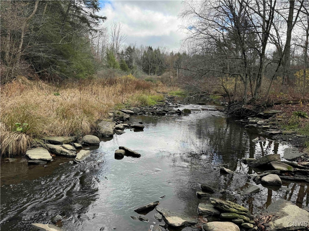 Post Road, Ripley, New York image 1