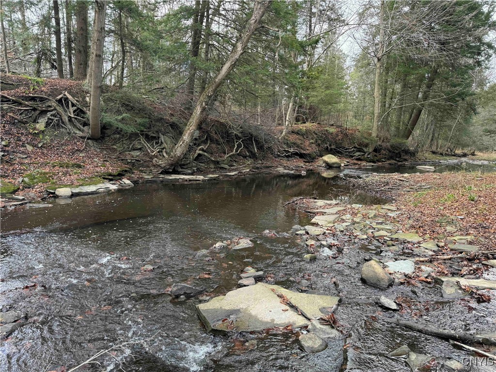 Post Road, Ripley, New York image 4