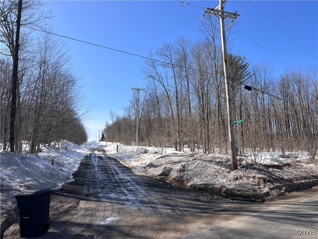 67 Maple Ridge Road, Redfield, New York image 3