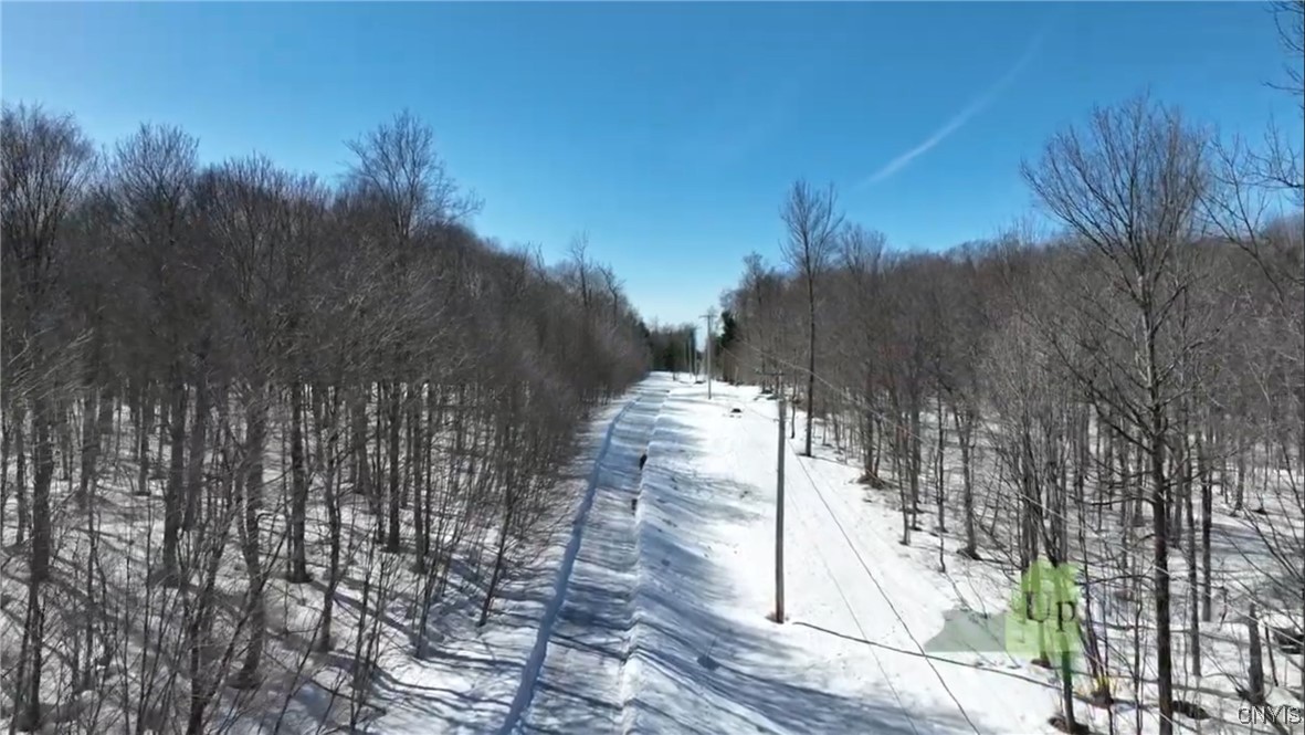 67 Maple Ridge Road, Redfield, New York image 4