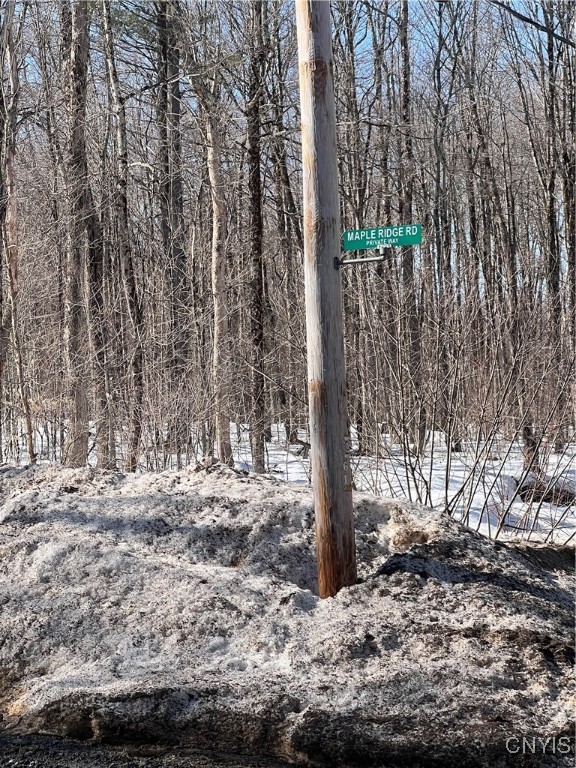 67 Maple Ridge Road, Redfield, New York image 2