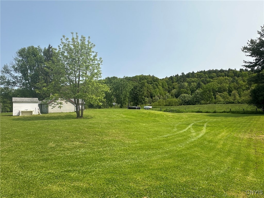 6062 Botsford Hollow Road, Hume, New York image 13
