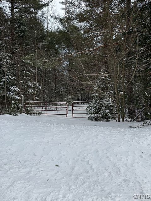Photo of Lot #2 Roberts Road, Remsen, NY 13438 (MLS # S1666539)