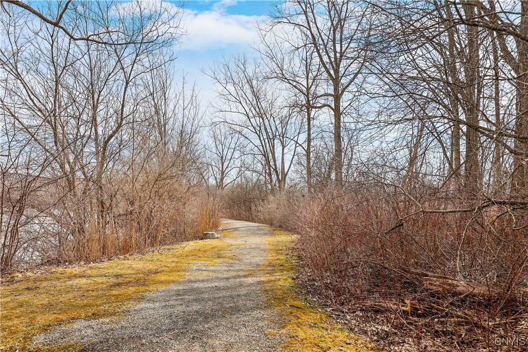 393 Summerhaven Drive, Manlius, New York image 30