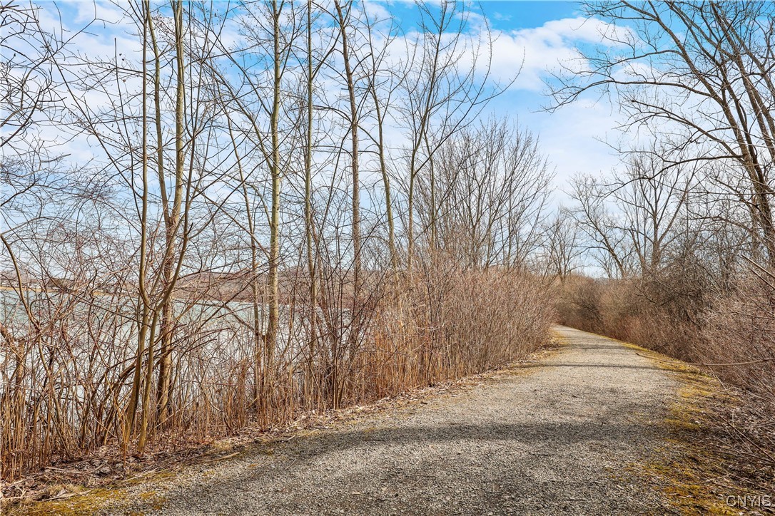 393 Summerhaven Drive, Manlius, New York image 31